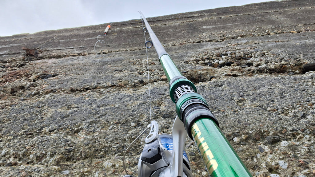 Edosmi Costal FIshing Rod 4.5
